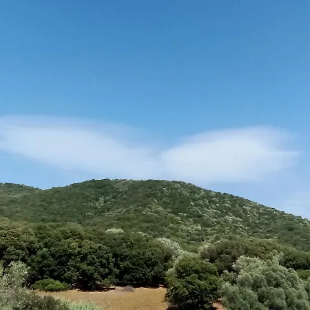 Appartement T3 En Rez De Sur Les Hauteurs D'ajaccio Ajaccio (Corsica)