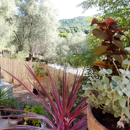 شقة T3 En Rez De Sur Les Hauteurs D'ajaccio *