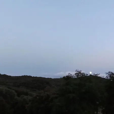 T3 En Rez De Sur Les Hauteurs D'ajaccio Appartement *