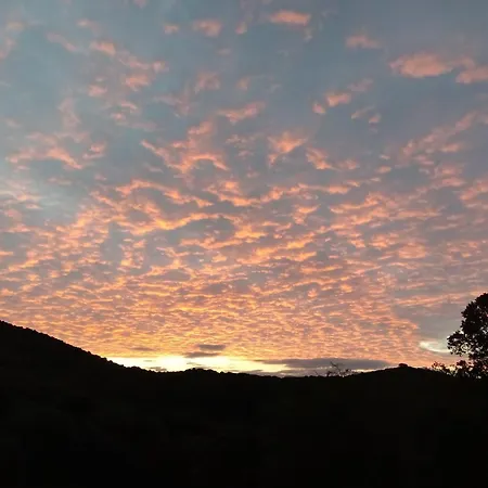 شقة T3 En Rez De Sur Les Hauteurs D'ajaccio