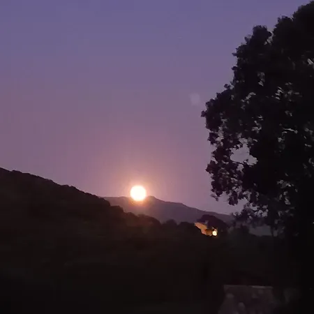 T3 En Rez De Sur Les Hauteurs D'ajaccio شقة