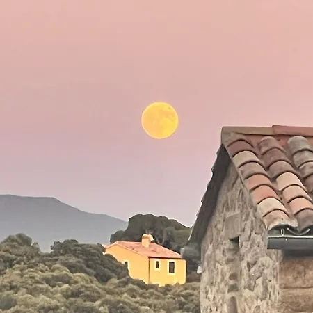 T3 En Rez De Sur Les Hauteurs D'ajaccio أجاكسيو