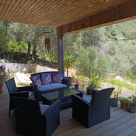 T3 En Rez De Sur Les Hauteurs D'ajaccio أجاكسيو