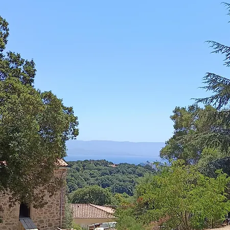 T3 En Rez De Sur Les Hauteurs D'ajaccio * أجاكسيو