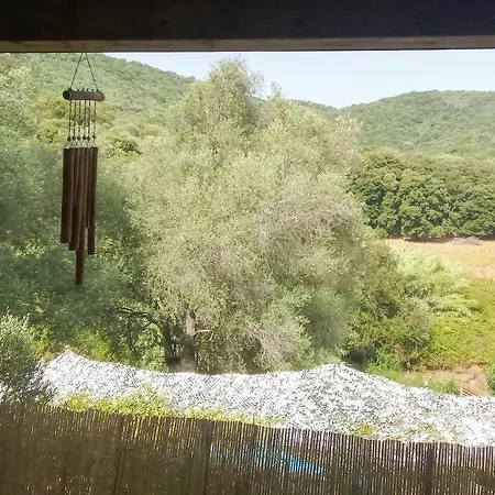 T3 En Rez De Sur Les Hauteurs D'ajaccio