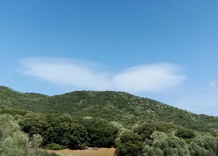 Apartmán T3 En Rez De Sur Les Hauteurs D'ajaccio Ajaccio (Corsica)