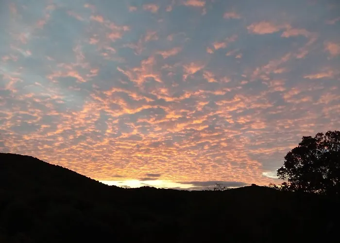 公寓 T3 En Rez De Sur Les Hauteurs D'ajaccio