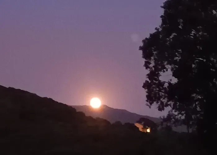 T3 En Rez De Sur Les Hauteurs D'ajaccio 公寓