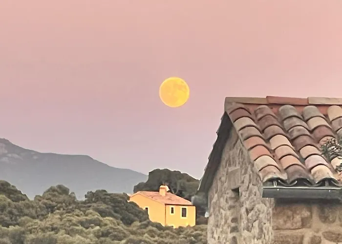 T3 En Rez De Sur Les Hauteurs D'ajaccio 阿雅克肖