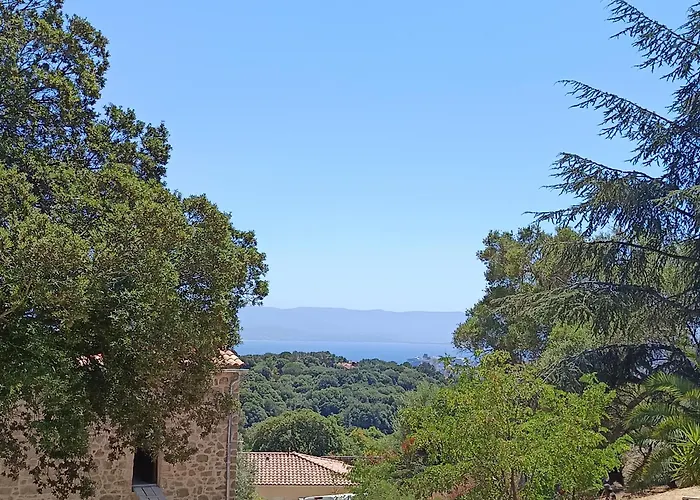 T3 En Rez De Sur Les Hauteurs D'ajaccio * 阿雅克肖